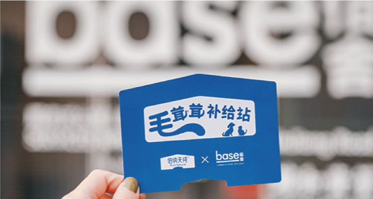 base佰舍官方网站